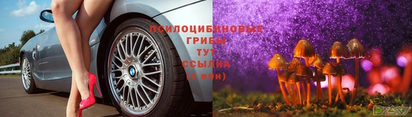 дмт Арсеньев