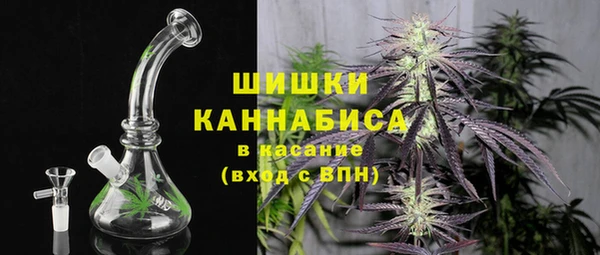 дмт Арсеньев