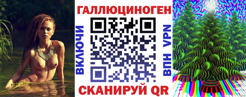 KRAKEN tor  Суджа  Псилоцибиновые грибы Psilocybine cubensis 