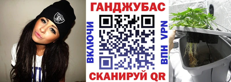 купить наркотики цена  площадка состав  мега как зайти  Бошки марихуана сатива  Суджа 